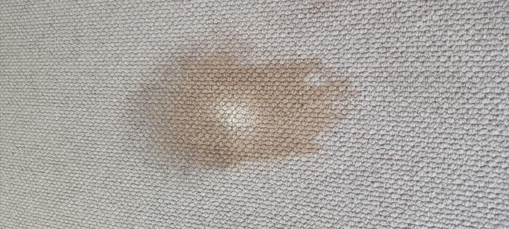Carpet before stain removal | Yamba best carpet steam clean service - EXAMPLE 01