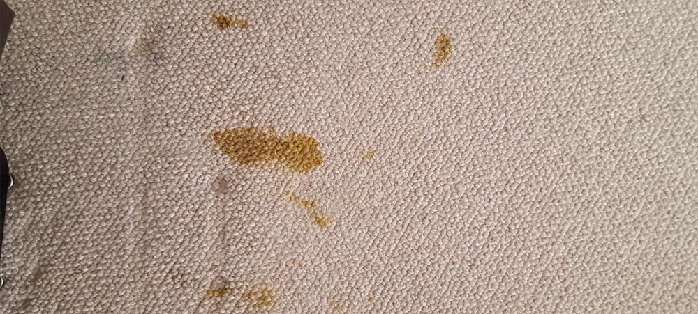 Carpet before stain removal | Yamba best carpet steam clean service - EXAMPLE 02